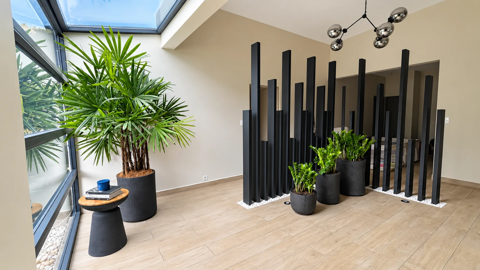 Conjunto de macetas con plantas en un espacio interior