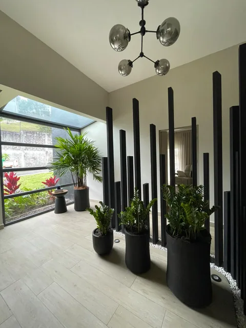 Macetas con plantas junto a una ventana y una división arquitectónica interior