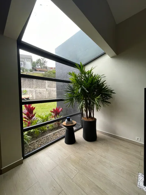 Planta en maceta junto a un ventanal interior