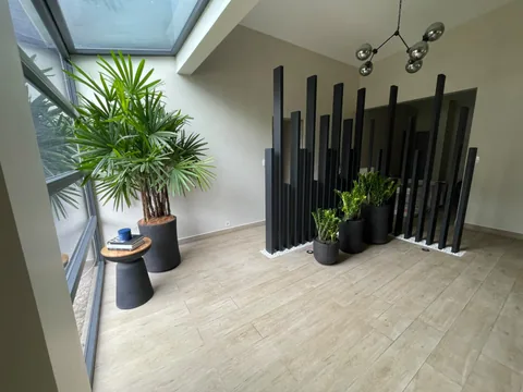 Conjunto de macetas con plantas en un espacio interior