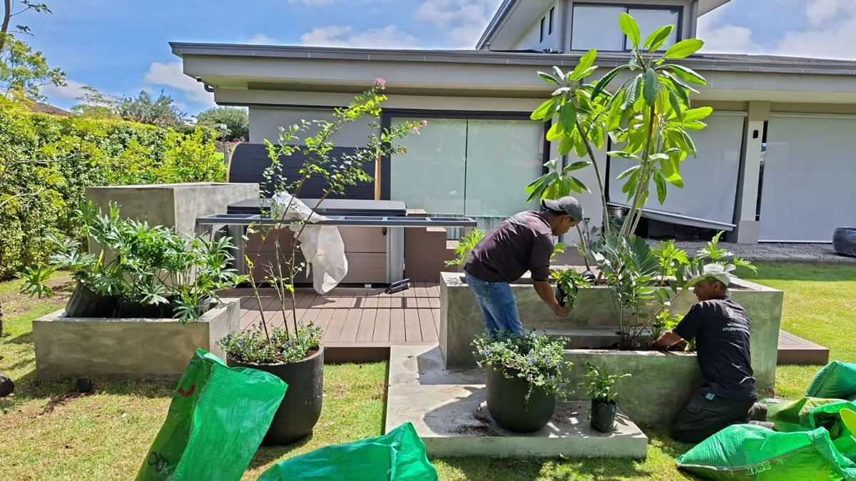 Proceso: el equipo trabaja en la colocación de las plantas