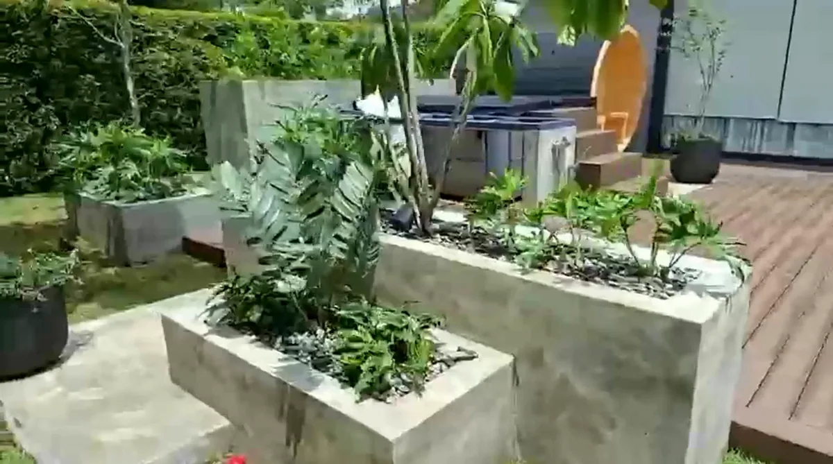 Resultado: plantas instaladas en las jardineras, fotograma del video real