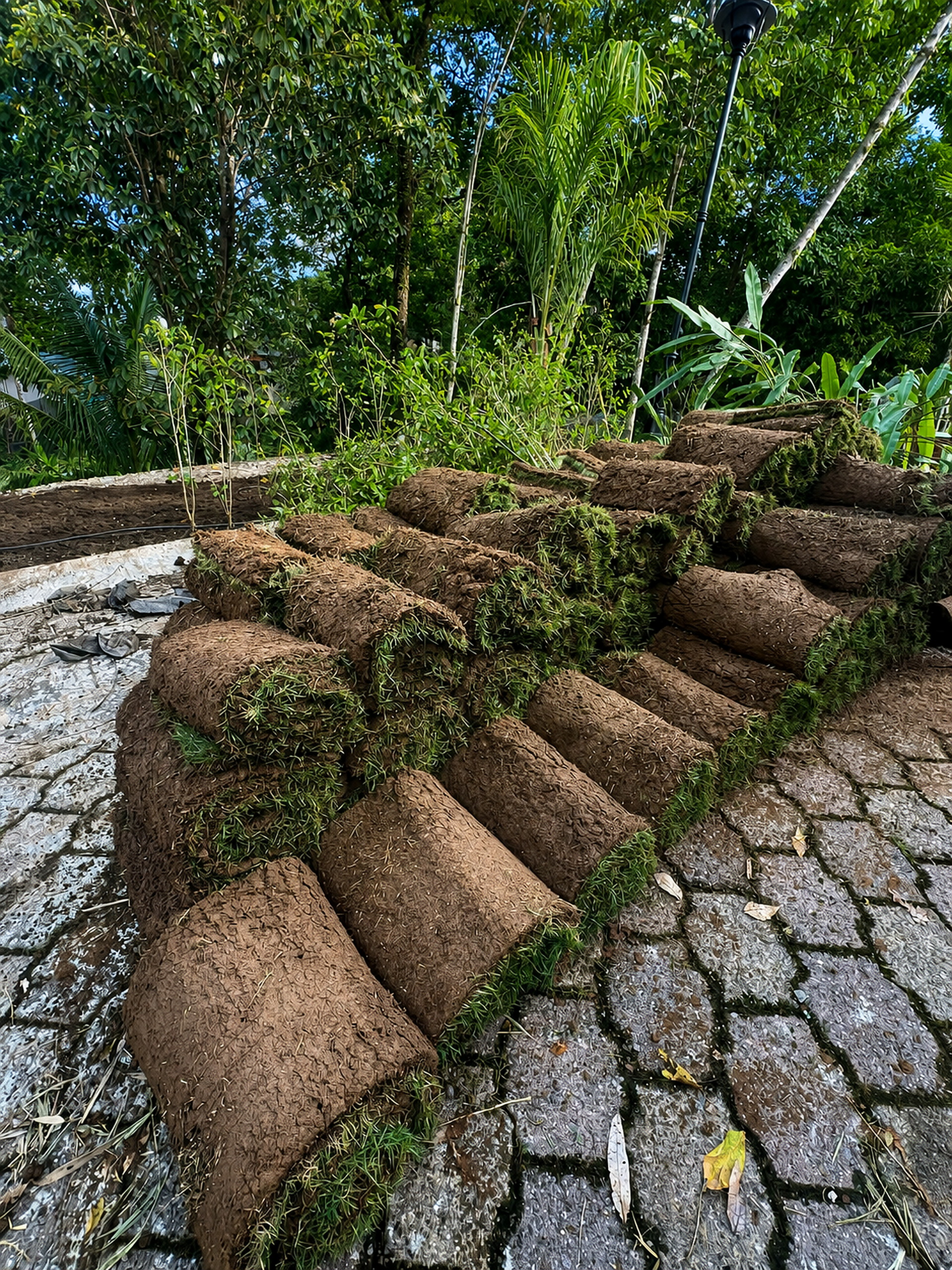 Proyecto real con zacate, adoquines y huellas de Green Shades — fotografía 1