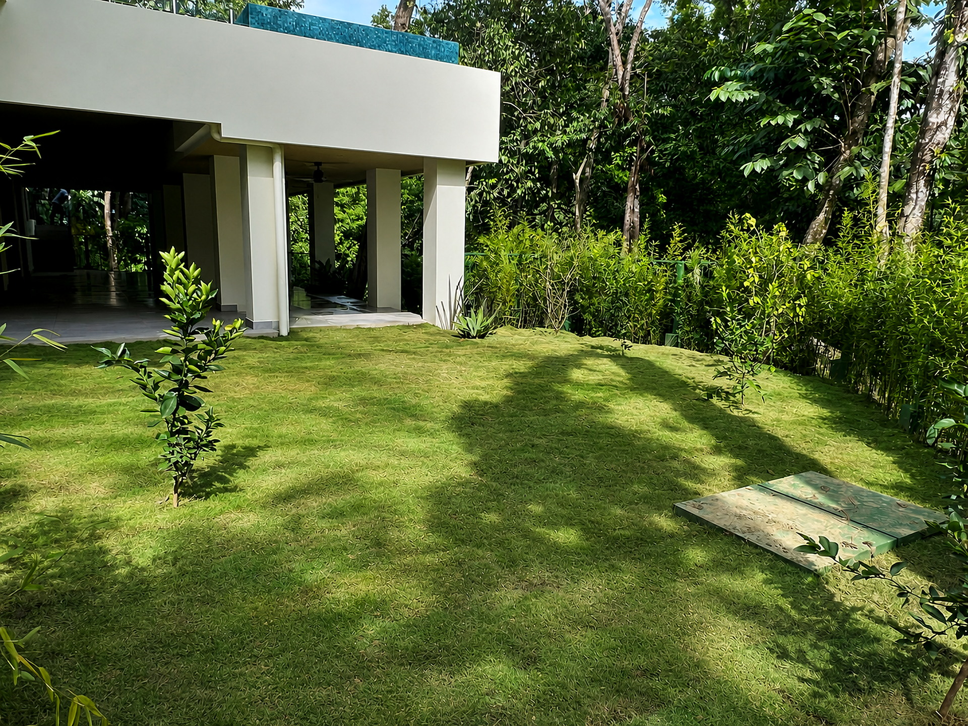 Proyecto real con zacate, adoquines y huellas de Green Shades — fotografía 2