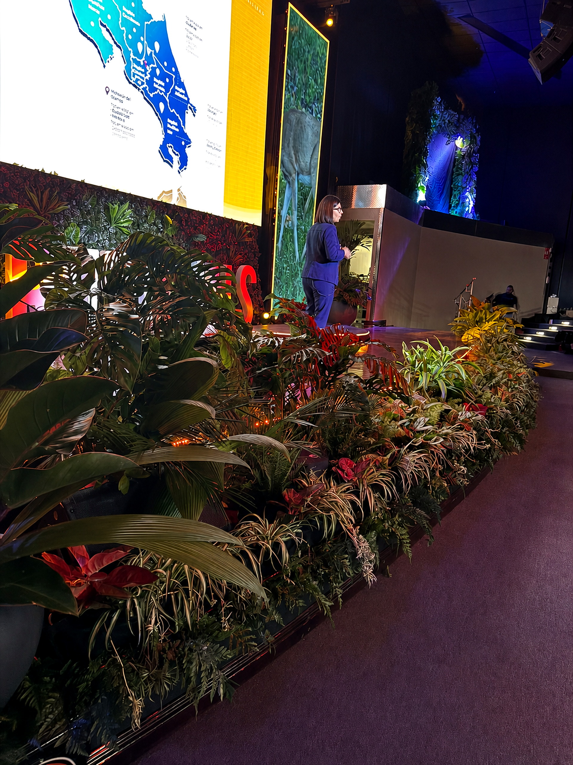 Montaje con plantas para evento realizado por Green Shades — fotografía 3