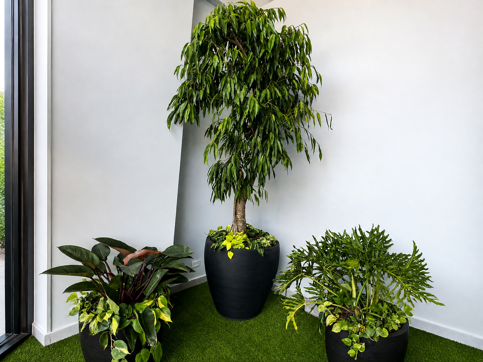 Composición decorativa de planta y maceta de Green Shades — fotografía 2