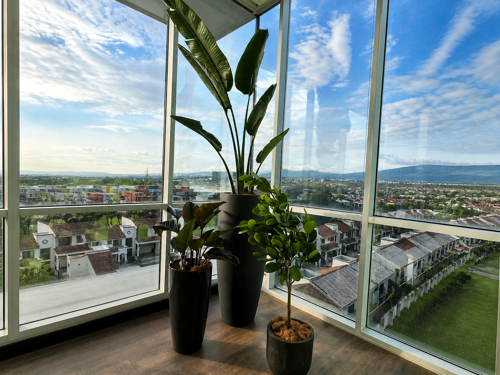 Composición decorativa de planta y maceta de Green Shades — fotografía 3