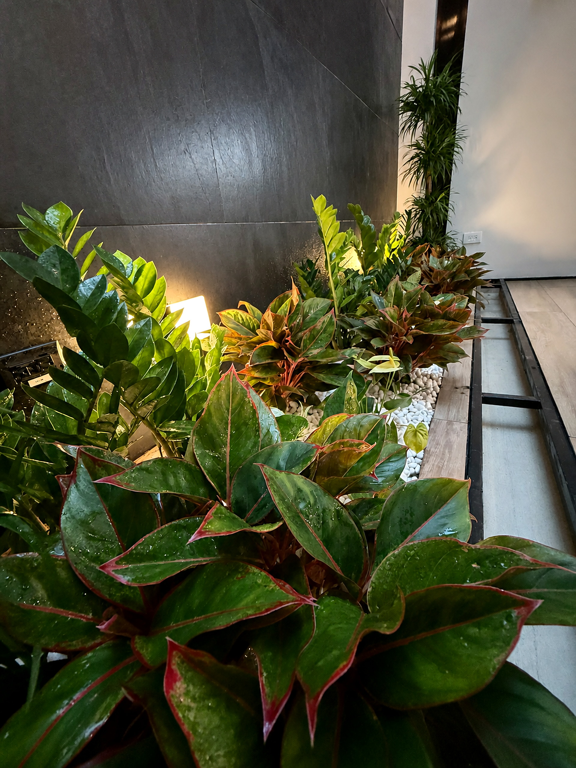Proyecto real de diseño y paisajismo realizado por Green Shades — fotografía 1
