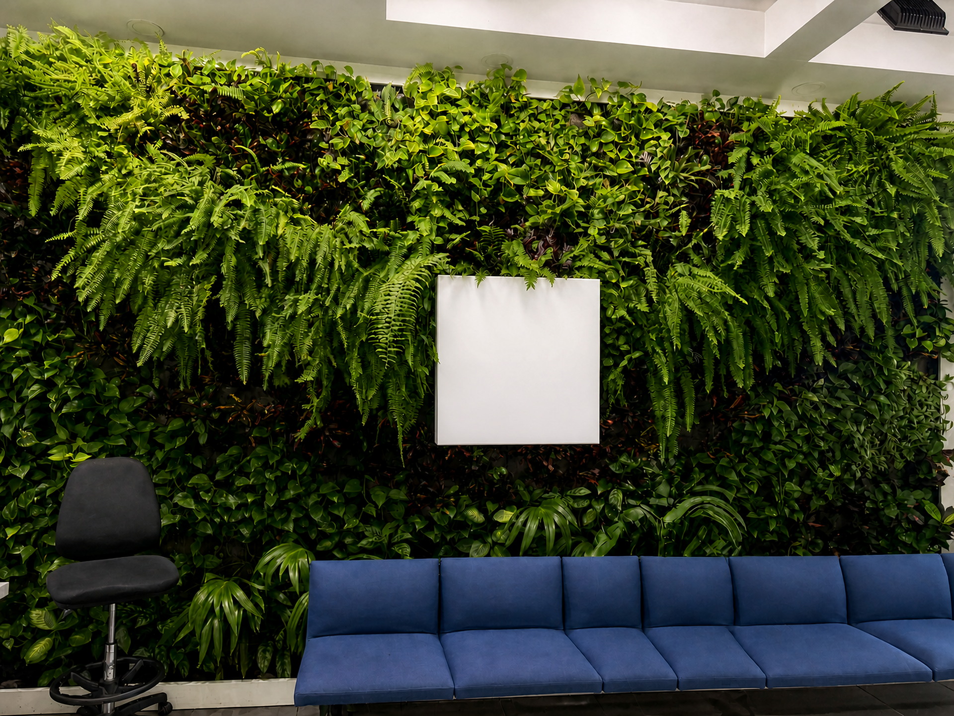 Proyecto de jardín vertical realizado por Green Shades — fotografía 2
