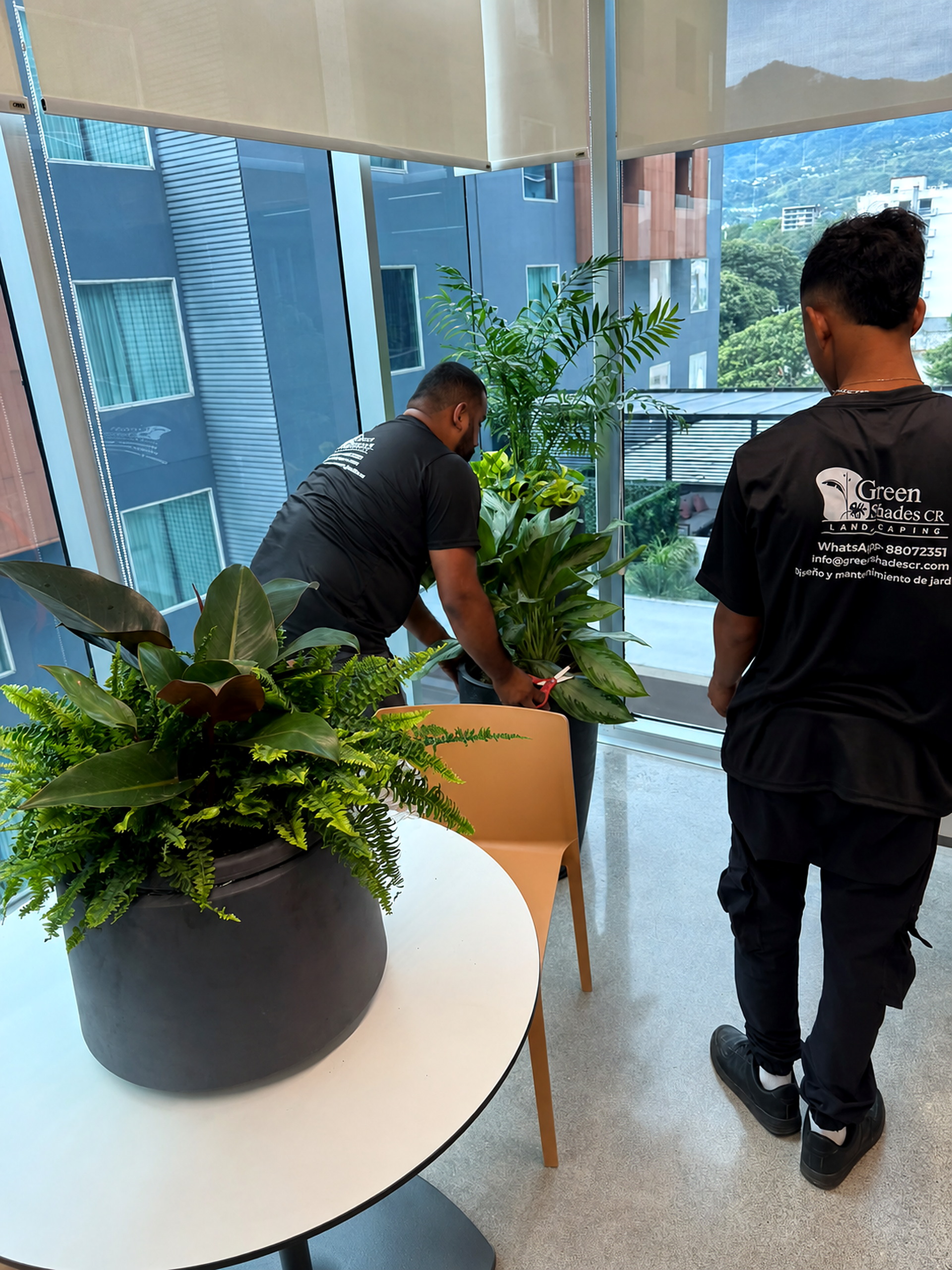 Mantenimiento de jardín realizado por Green Shades — fotografía 1