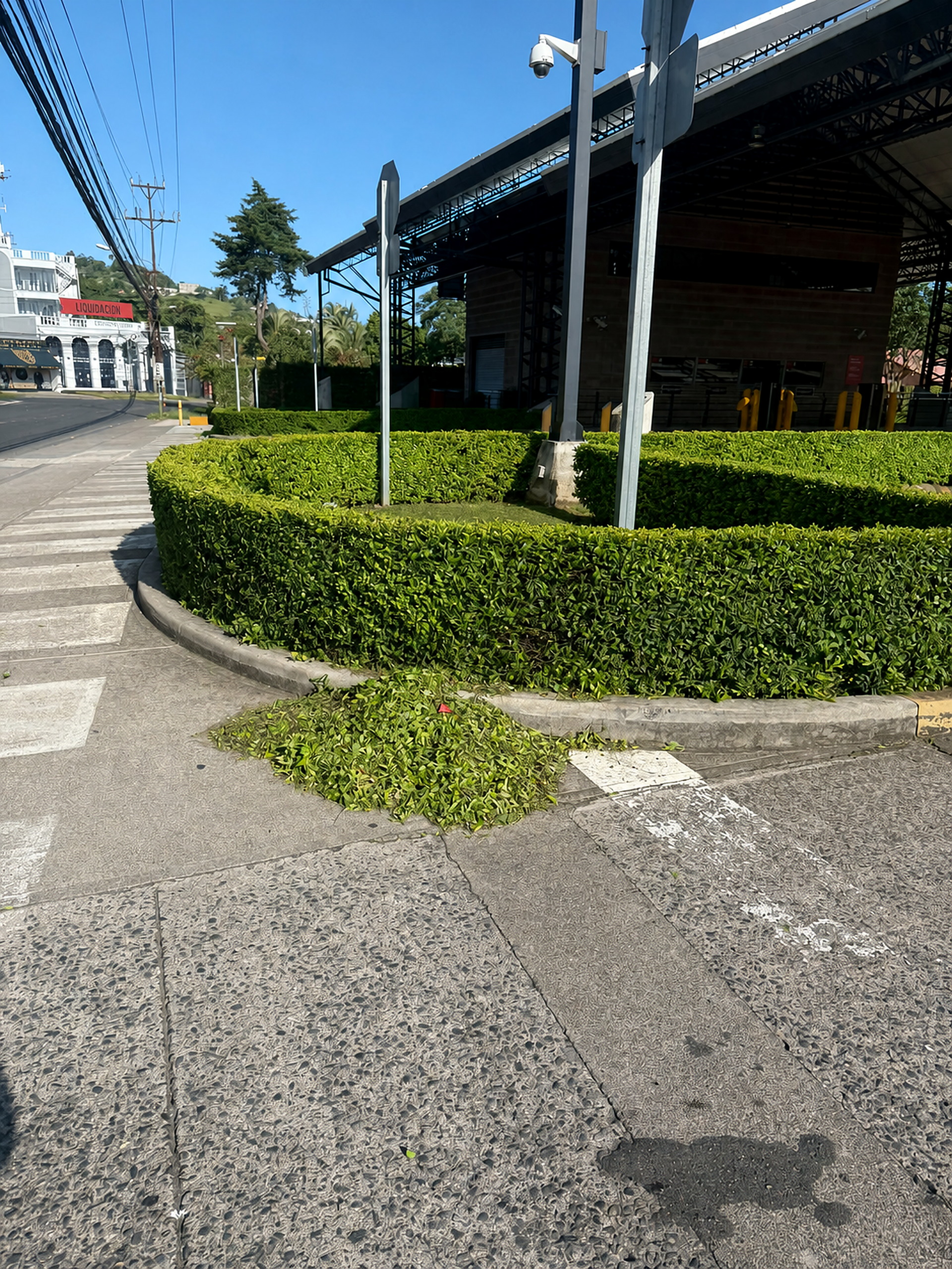 Mantenimiento de jardín realizado por Green Shades — fotografía 3