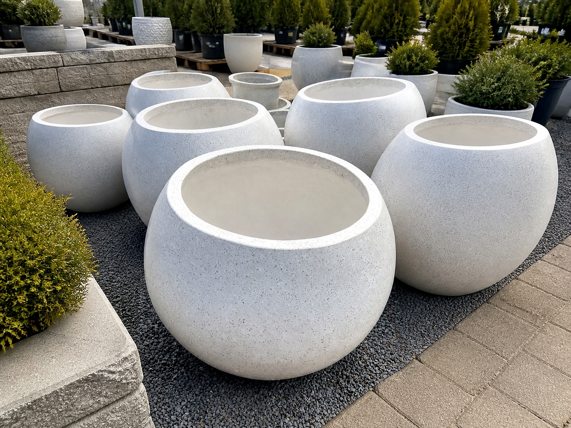 Plantas y artículos de jardinería de Green Shades — fotografía 2